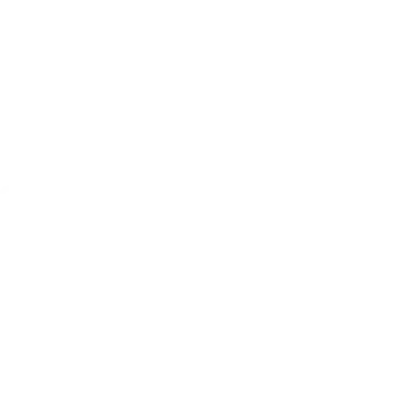 VAN